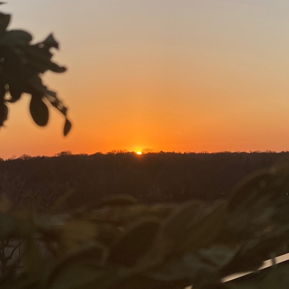 Meet your Posher, Reina - Picture 1 of 1